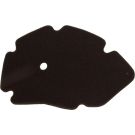 Motorluftfilter. Runner-X9 125-180Cc 10 060 0881