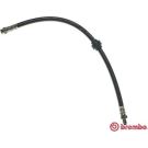 BREMBO Bremsschlauch T 68 037 ESSENTIAL LINE