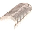 Pleuellagersatz NDC CB-1223GP STD