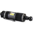 Arnott Luftfederbein HA li SK-2415