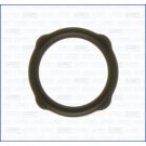 Dichtung, AGR-Ventil AJU01053400