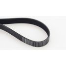 CONTINENTAL CTAM Keilrippenriemen 7PK1165