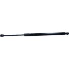Gasfeder, Hinten L 565 905N 340846