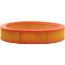 FILTRON Luftfilter AR 238