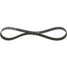 Keilrippenriemen FORD,VW,HONDA,CITROEN 1987946036
