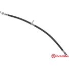 BREMBO Bremsschlauch T 11 013 ESSENTIAL LINE