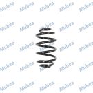 Fahrwerksfeder HA RENAULT Clio 060226-E