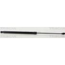 Gasfeder, Koffer-/Laderaum 871038248