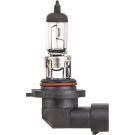 HELLA Glühlampe, Nebelscheinwerfer 8GH 009 063-121 STANDARD