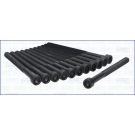 Zylinderkopfschraubensatz 81039000