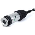 Arnott Luftfederbein HA li/re AS-3175