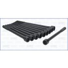Zylinderkopfschraubensatz 81008800