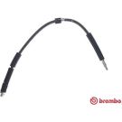 BREMBO Bremsschlauch T 06 041