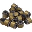 Dichtungssatz Ventilschaft 12-53854-01