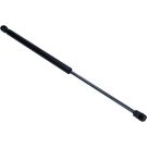 Gasfeder, Koffer-/Laderaum 60602