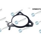 Dichtung, Einspritzpumpe DRM0579