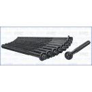 Zylinderkopfschraubensatz 81029300