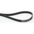 Keilrippenriemen 6Pk1318 6PK1318
