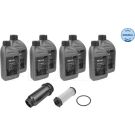 Ölwechselkit mit Öl 7141350102
