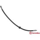 BREMBO Bremsschlauch T 11 015 ESSENTIAL LINE