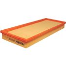 FILTRON Luftfilter AP 193/1