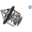 Thermostat, Kühlmittel 36-28 228 0000