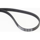 Keilrippenriemen 5PK1441