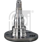 FEBI BILSTEIN Achsstift 18348