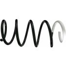 Sachs Fahrwerksfeder Renault P. Kangoo 1.6 08 993596