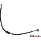 BREMBO Bremsschlauch T 85 112 ESSENTIAL LINE