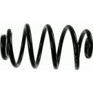 Sachs Fahrwerksfeder Renault T. Clio Iii 1.2/1.4/1.6/1.5Dci 05 994 168