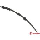 BREMBO Bremsschlauch T 23 181 ESSENTIAL LINE