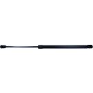 Gasfeder, Koffer-/Laderaum 871018244