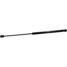 Gasfeder, Hinten L 507 330N RENAULT Twingo 14 LIFT-O-MAT® 907985