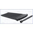 Zylinderkopfschraubensatz 81036300