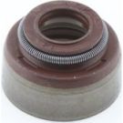 Dichtring, Ventilschaft 49472834