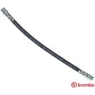BREMBO Bremsschlauch T 50 013 ESSENTIAL LINE