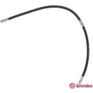 BREMBO Bremsschlauch T 54 052 ESSENTIAL LINE
