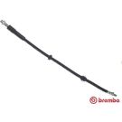 BREMBO Bremsschlauch T 06 053 ESSENTIAL LINE