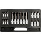Biteinsatz-Sortiment 18. St. Torx T10-T60mm YT-7751