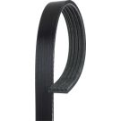 Micro-V Riemen 5PK1343