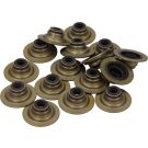 Dichtungssatz Ventilschaft LAND ROVER 12-34836-01