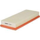 FILTRON Luftfilter AP 196/2