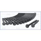 Zylinderkopfschraubensatz 81013600