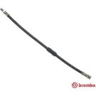 BREMBO Bremsschlauch T 23 152 ESSENTIAL LINE