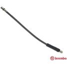 BREMBO Bremsschlauch T 41 002 ESSENTIAL LINE