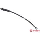 BREMBO Bremsschlauch T 59 013 ESSENTIAL LINE