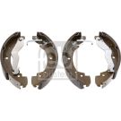 FEBI BILSTEIN Bremsbacken 02910