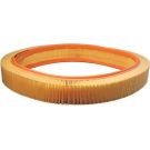 FILTRON Luftfilter AR 036/1