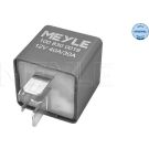 Relais, Kraftstoffpumpe 1008300019
